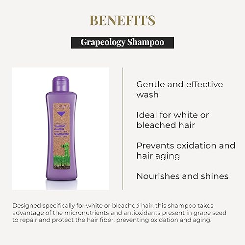 Miniatura 3 de SALERM - Champú para Cabello Blanco o Blanqueado - Champú Grapeology Biokera Natura - 10.1 fl oz - Con Aceite de Semilla de Uva - Nutre e Hidrata el