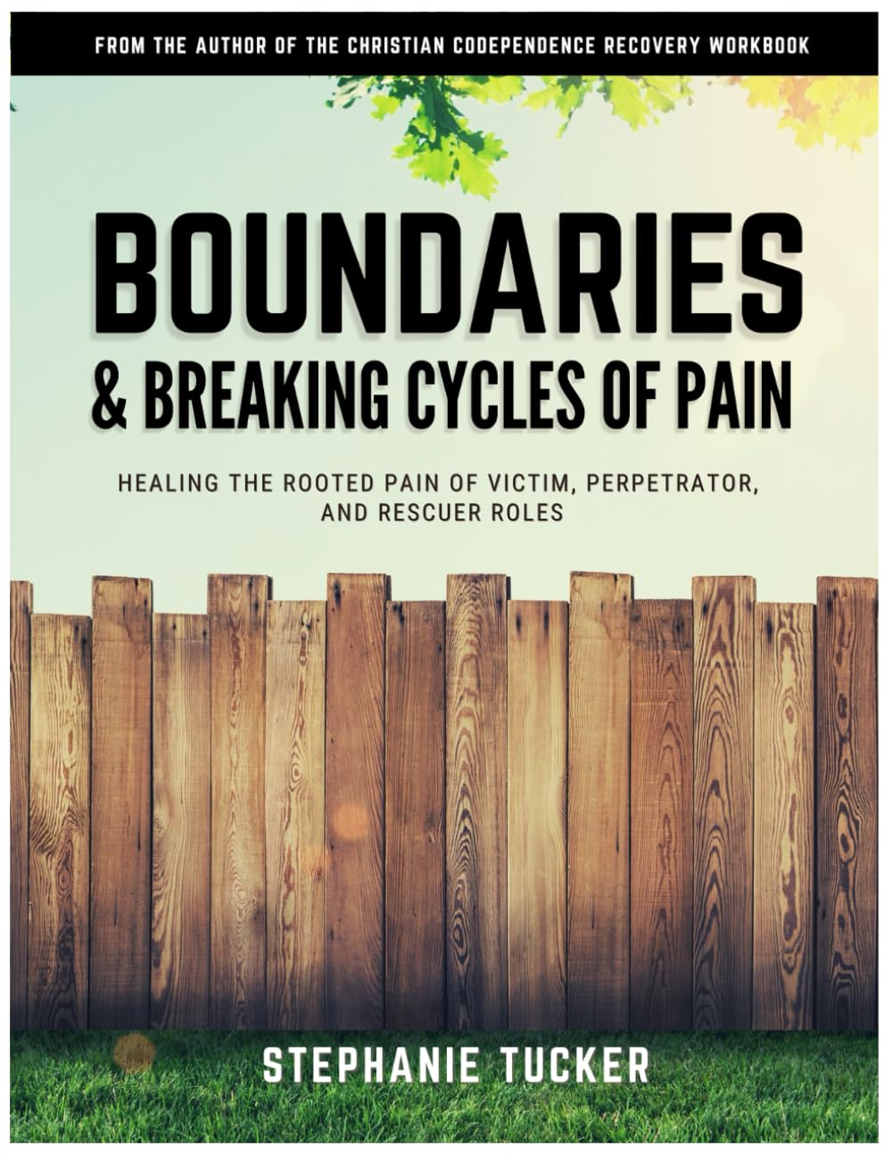 Boundaries & Breaking Cycles of Pain: Healing the rooted pain of victim, perpetrator and rescuer roles