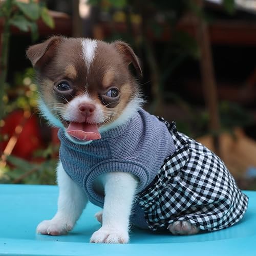 Miniatura 5 de LOPHIPETS Vestido a cuadros para perros pequeños, taza de té, chihuahua, yorkie, cachorro, gato, ropa a cuadros negros y blancosXXS