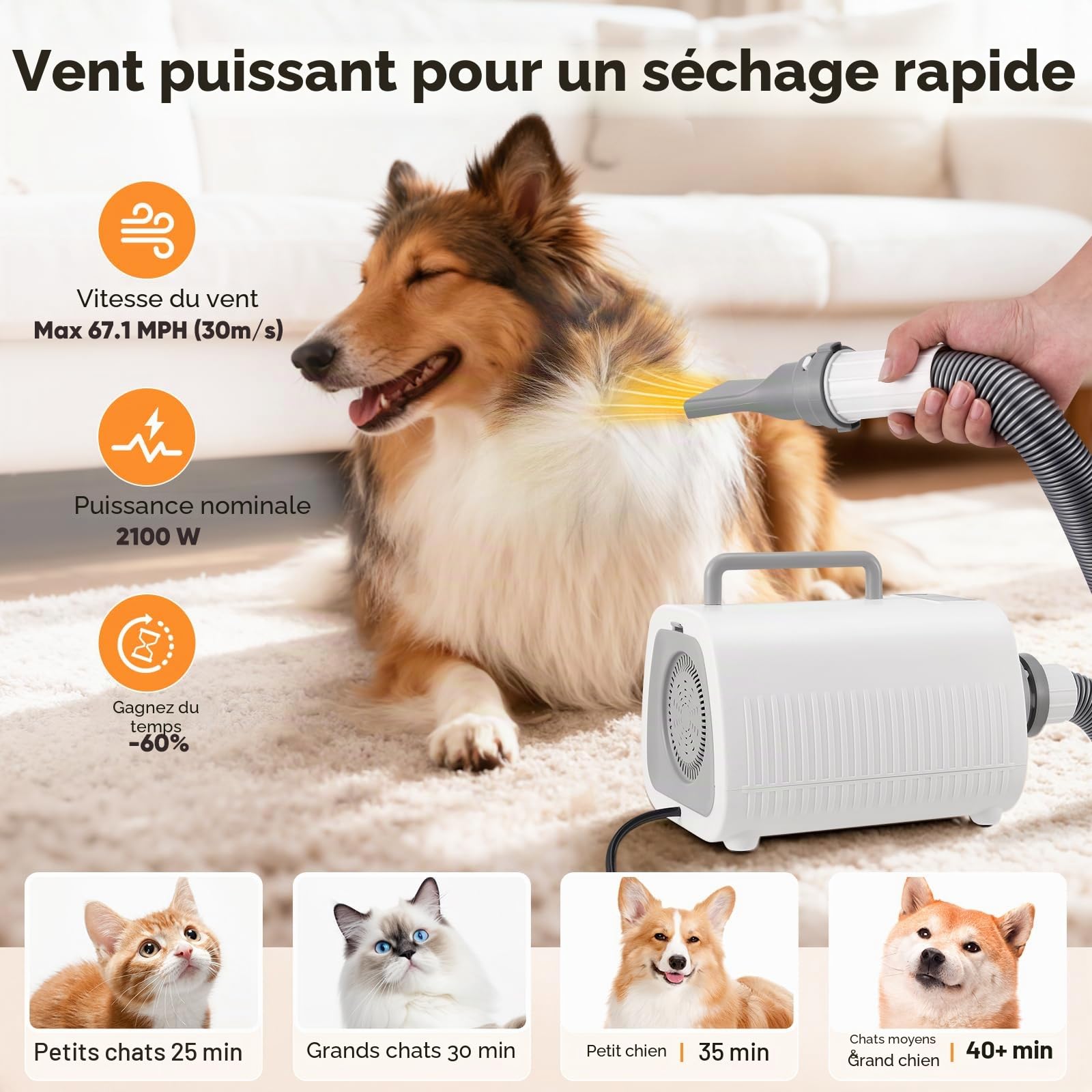Pulseur pour Chien et Chats,Professionnel Souffleur Chien Séchoir Sèche-Poils, Silencieux (45-65 dB), 9 niveaux de vitesse et de chaleur (30-65 °C), 3 Buses et Tuyau Extensible,chaud et chaud