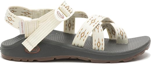 Chaco Men's Zcloud 2 Sport Sandal