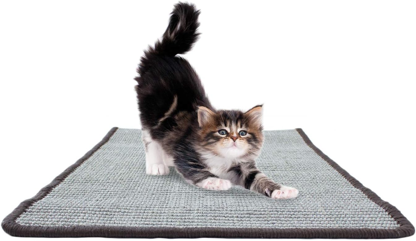 Downtown Pet Supply - Cat Scratcher - Sisal Rope Cat Scratching Pad with Non-Slip Mat - Cat Supplies for Indoor Cats - Sisal Cat Scratcher Grey - Standard - 24 x 16 in : Pet Supplies