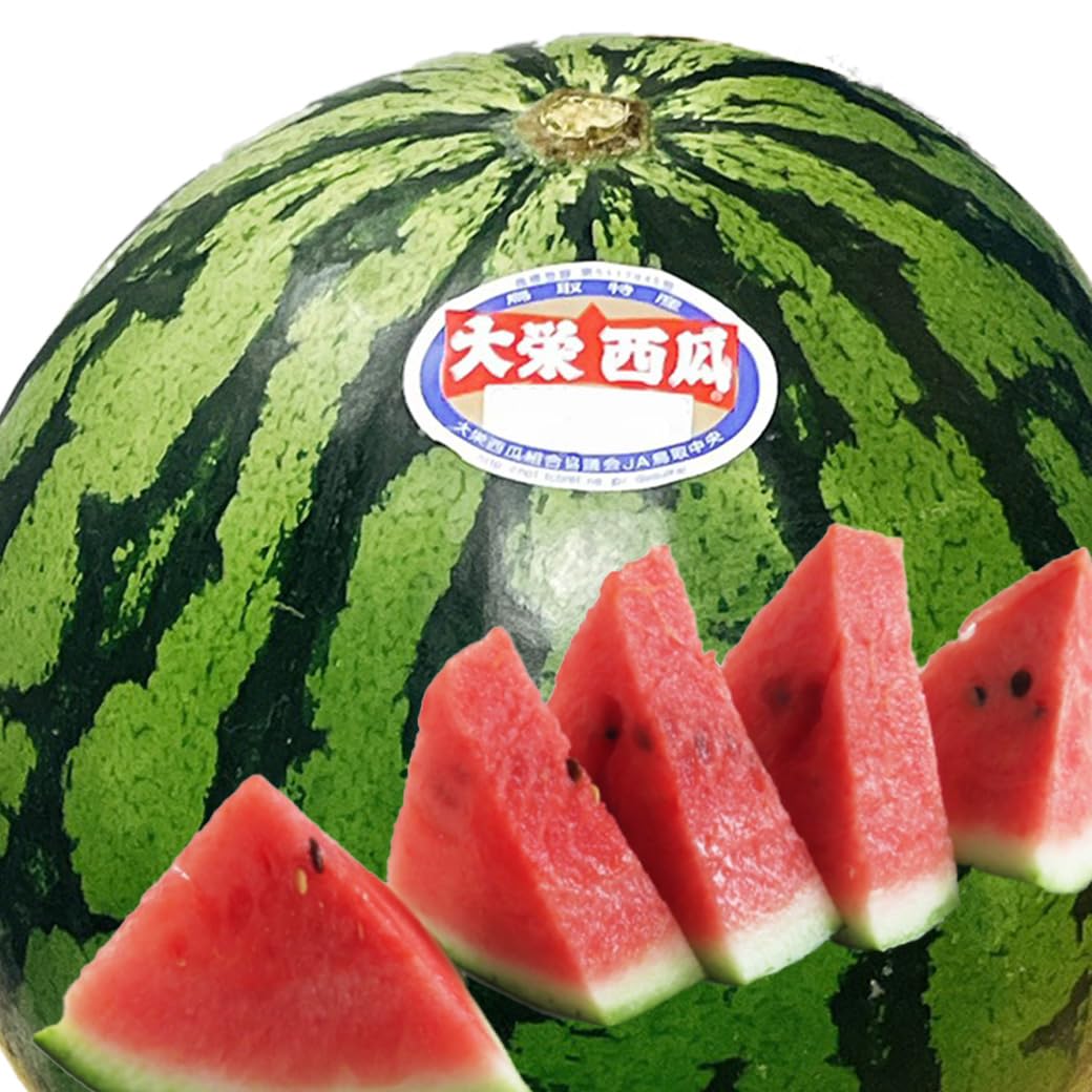 Amazon.co.jp: すいか スイカ 訳あり 鳥取県産 大栄西瓜 5Lサイズ 10kg