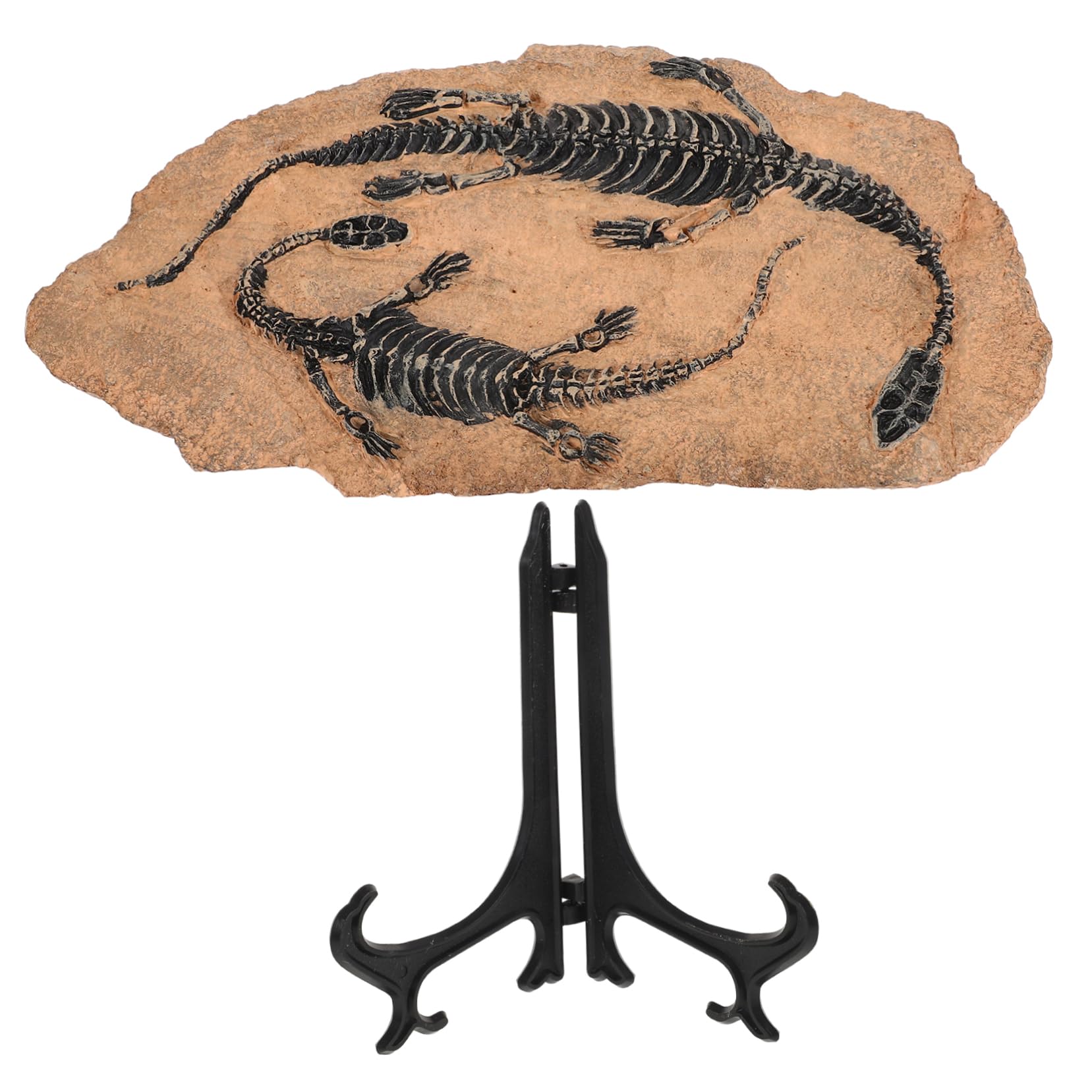Fossili Di Dinosauro Set Di Decorazioni Ornamento Di Resina Simulazione Esemplare Di Dinosauri