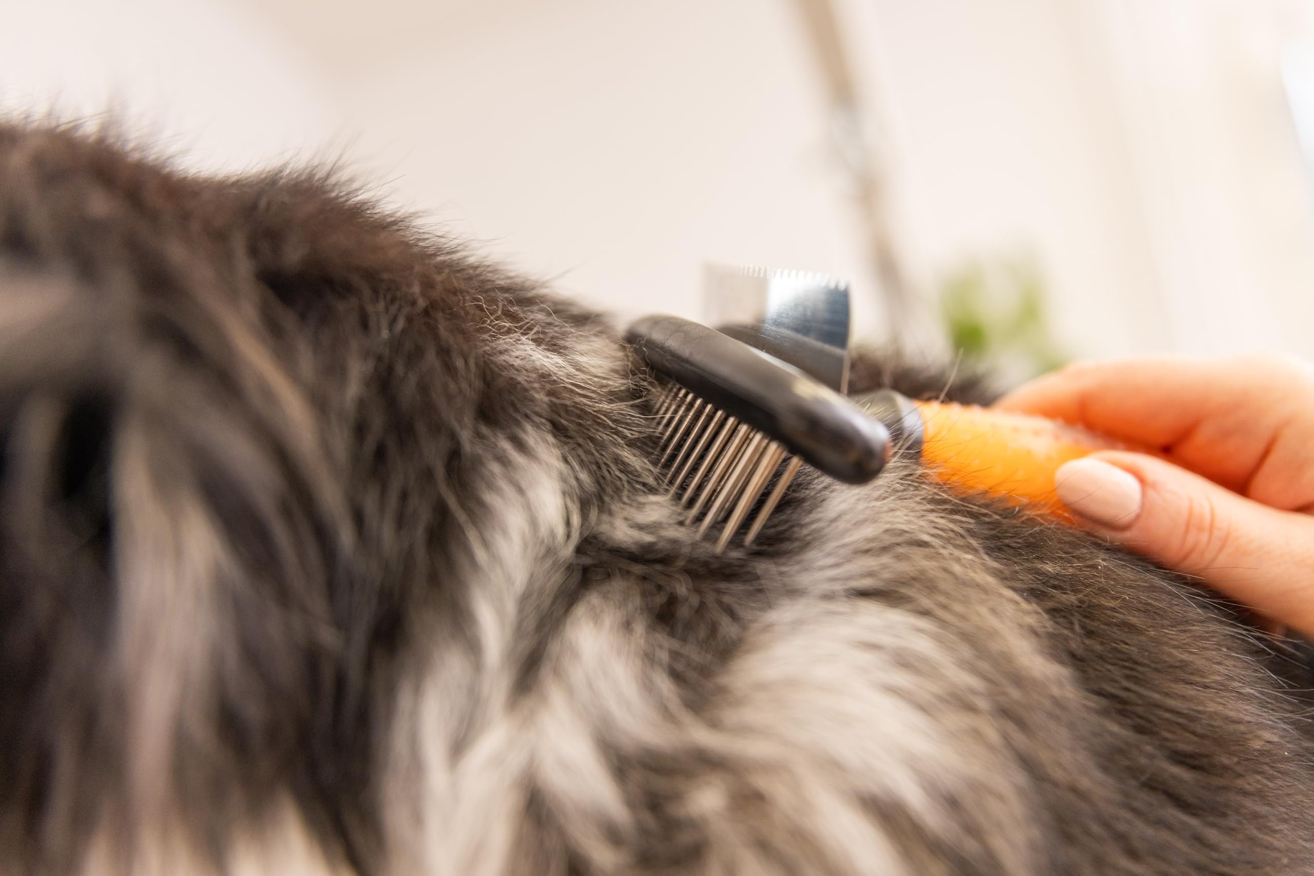 WAHL Zgrzebło Double Row Rake - Szczotka dla Psów i Kotów, Szczotka 2 w 1, Narzędzia do Pielęgnacji, Usuwa Luźną Sierść, Nie Szarpie Sierści, Żelowa Rączka, Pomarańczowa