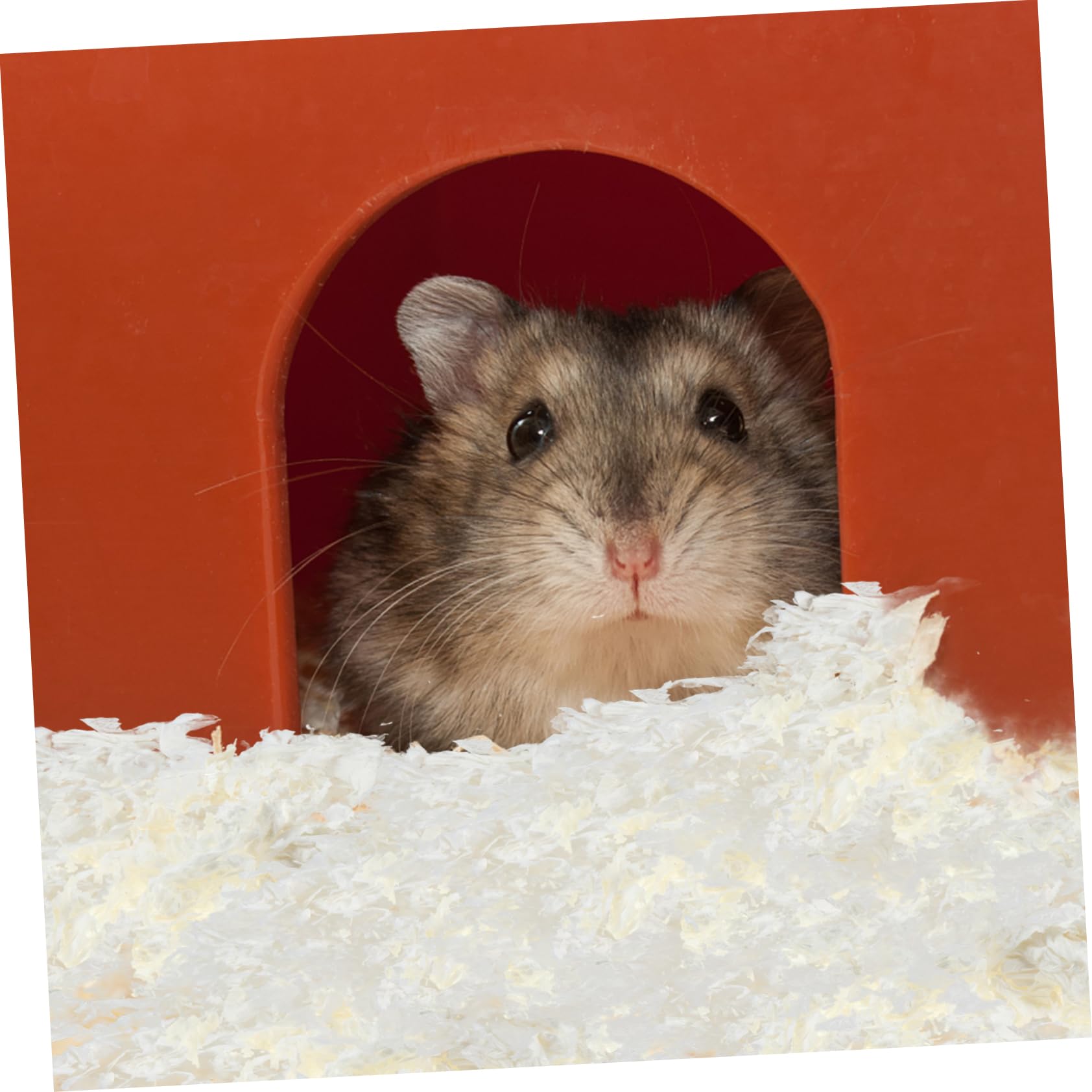 Lettiera per Piccoli Animali in Carta Assorbente a Controllo Polvere Bianca Confezione da 1 Adatta per Gerbilli e Criceti, per Nidi e Tane
