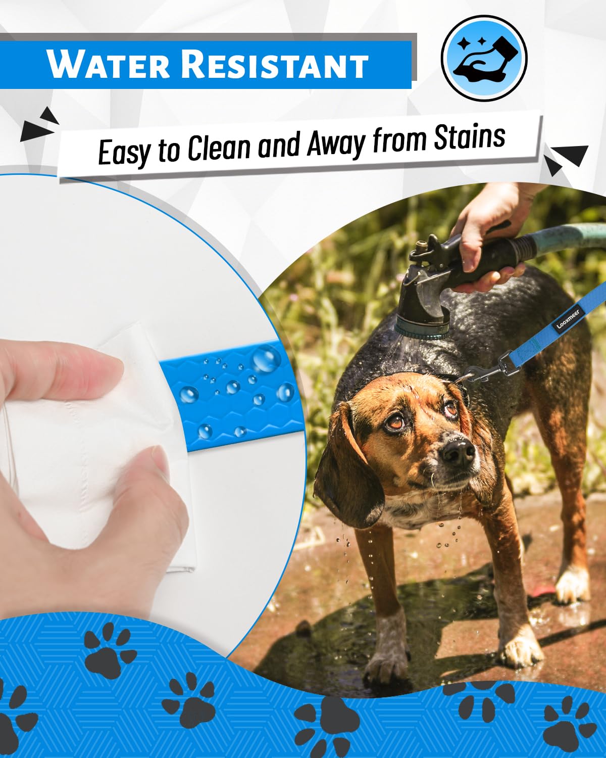 Looxmeer Guinzaglio Addestramento per Cani, Guinzaglio per Cani 3 m/5M/7M/10M/15M/20M/25M/30M, Lunghina Cane Leggero Durevole con Moschettone a D, Custodia Portabile, Blu Fluo