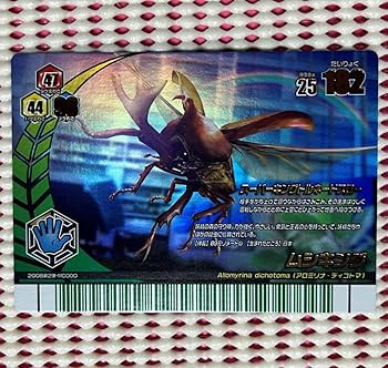 Amazon.co.jp: ムシキング アダー完結編 カード 2008夏