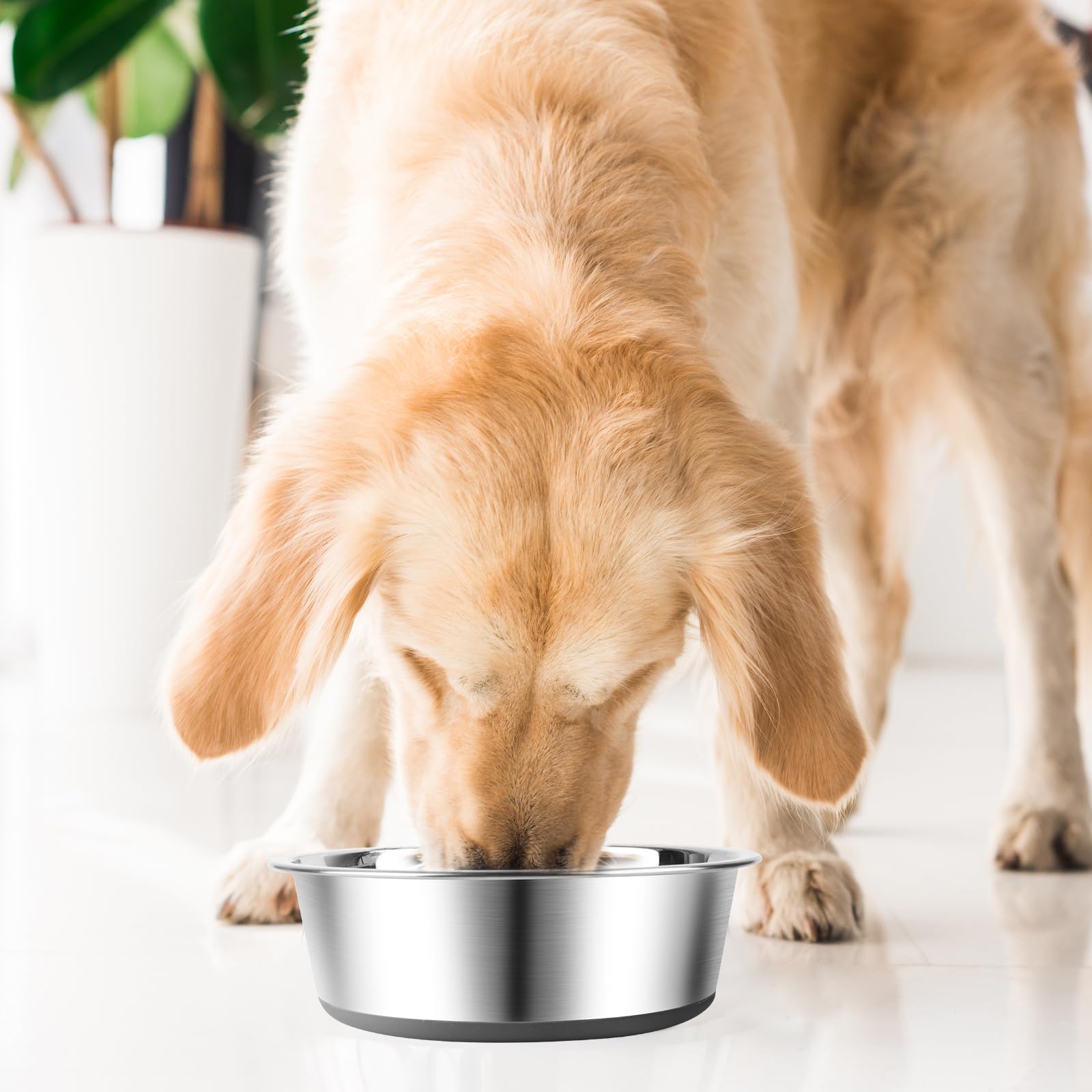 Ciotole Per Cane In Acciaio Inox Con Base Antiscivolo - Set Da 2 Per Cibo E Acqua - Foto 2