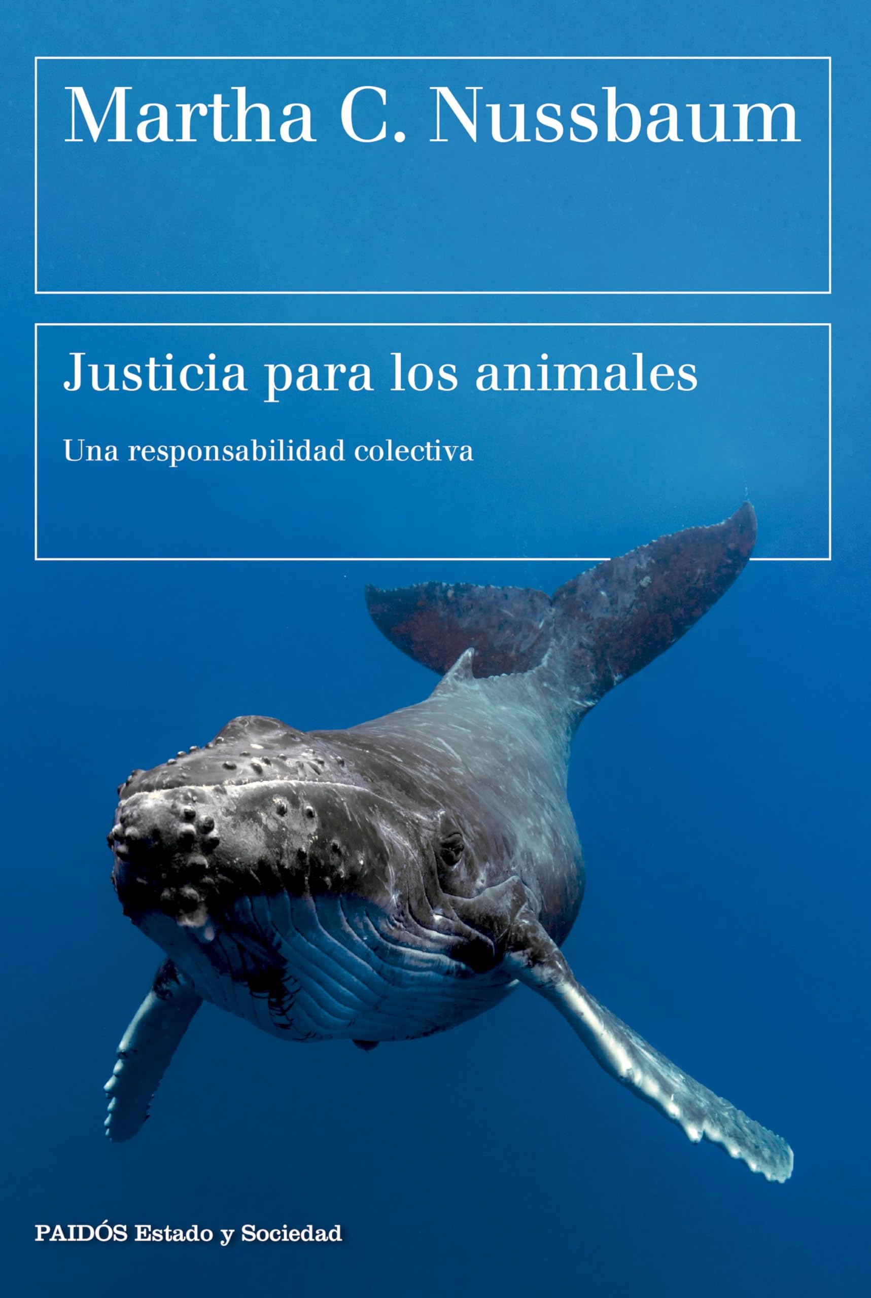 Justicia para los animales: Una responsabilidad colectiva (Estado y Sociedad)