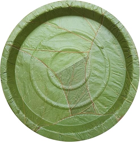 Placa de palash-Sal de un solo uso | natural, biodegradable, compostable en el patio trasero, certificado USDA | fiestas, festivales, bodas,