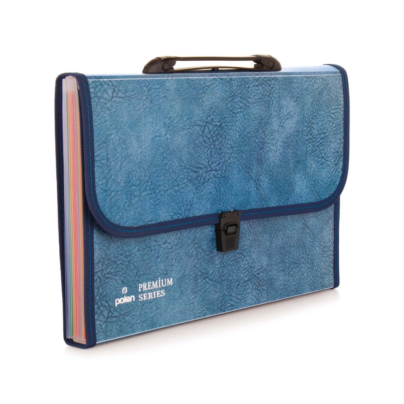 POLEN Premium HD Print Plastic Expanding File Folder with 13 Pockets, Handle, and Buckle Closure, for FS Size Documents (Blue)
