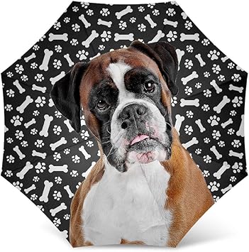 umbrella for dogs amazon