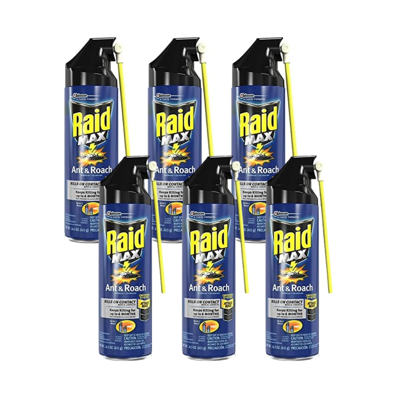 RaidMax Ant and Roach Spray, 14.5 Ounce (Pack of 4)