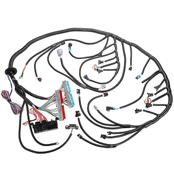 LS Swap Harness, T56 DBC LS1 Standalone Wiring Harness