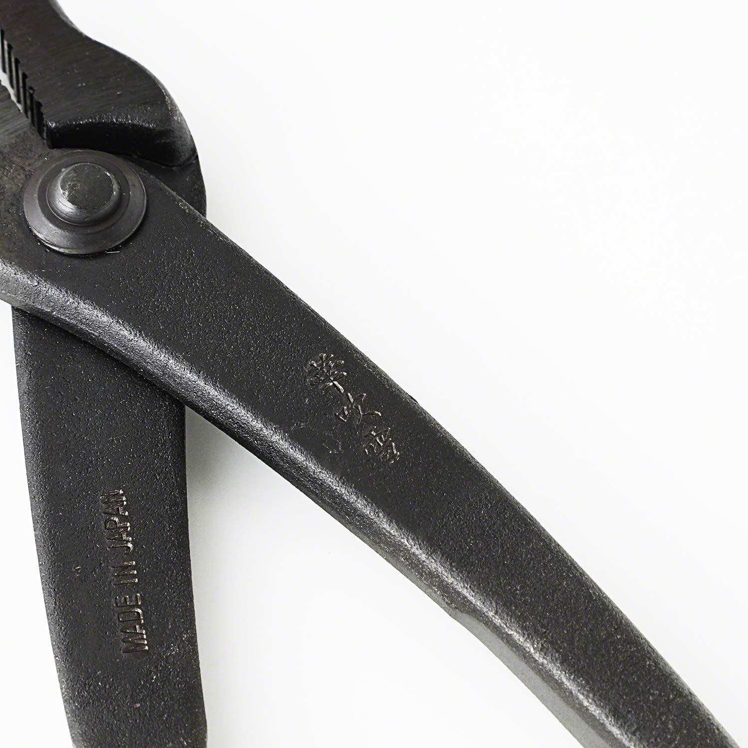 Wazakura Pinze per Filo Bonsai Forgiata a Mano 210mm Fatte in Giappone