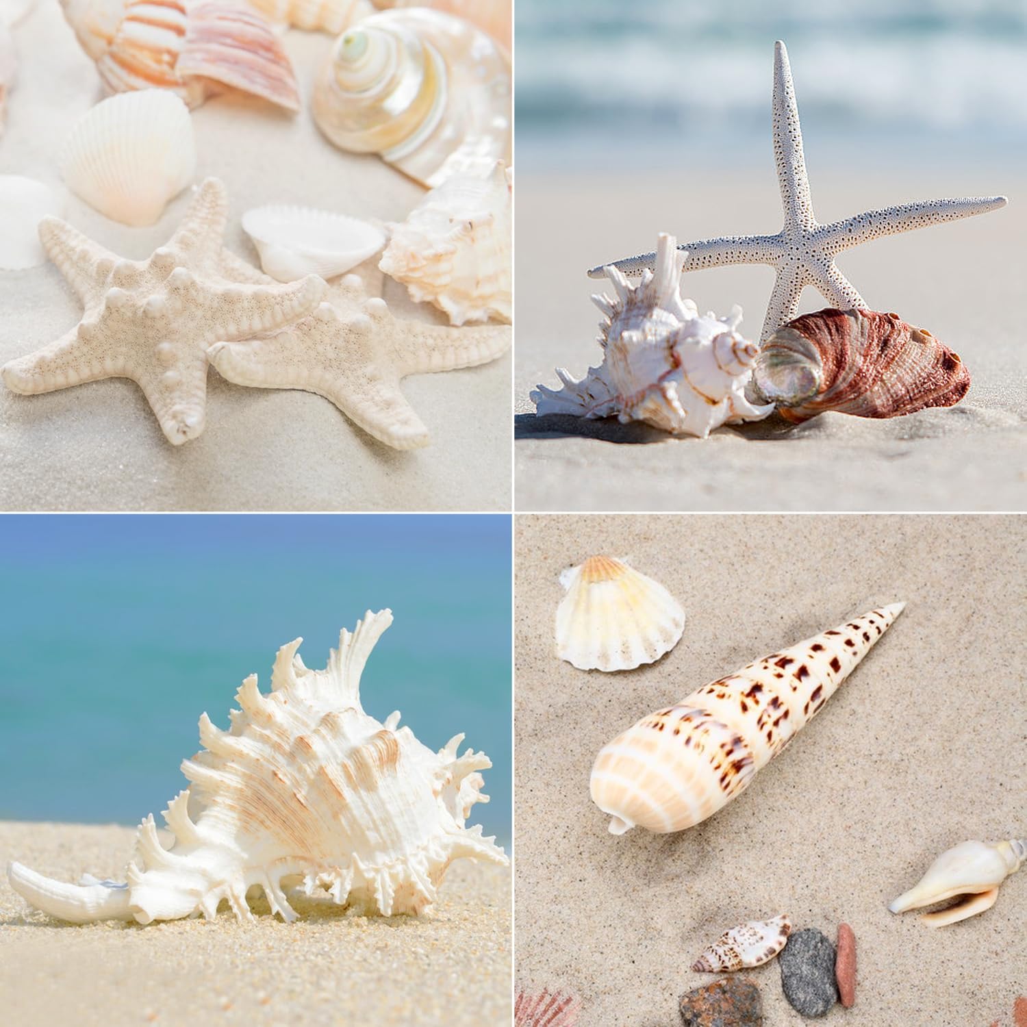 Lot De 4 Poids De Nappe En Céramique - Blanc Et Bleu - D 4 X H 11 Cm