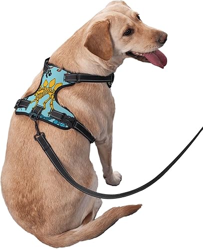 Miniatura 3 de Arnés sin tirones para perro, diseño de dinosaurios, esqueleto de dibujos animados, arnés para mascotas con correa, ajustable, reflectante,
