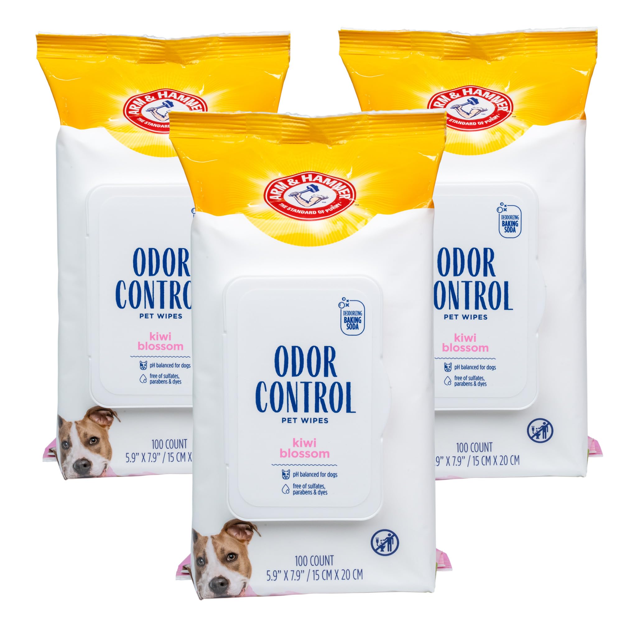 Arm & Hammer Salviette per cani per il controllo degli odori degli animali domestici, la migliore pulizia senza acqua per cani e cuccioli | Profumo di fiori di kiwi, 100 pezzi - confezione da 3