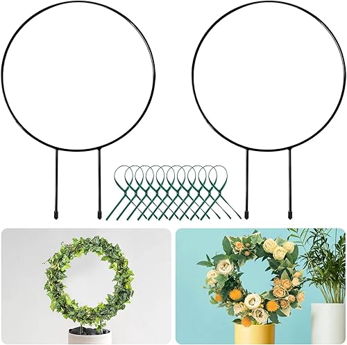 Halatool Paquete de 6 enrejados de metal negro para plantas trepadoras, soporte circular de hierro para plantas en maceta, interior y exterior,