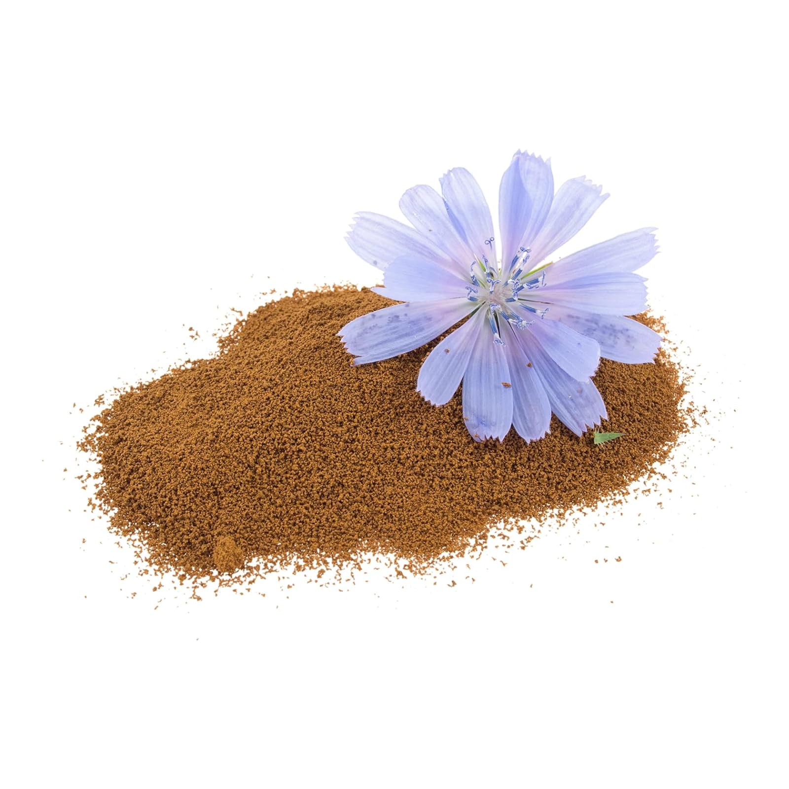 Leroux - Chicorée Soluble Vanille - 100% d'Origine Végétale - Chicorée Cultivée en France - Source de Fibres, Sans Sucres Ajoutés - Pot de 100g