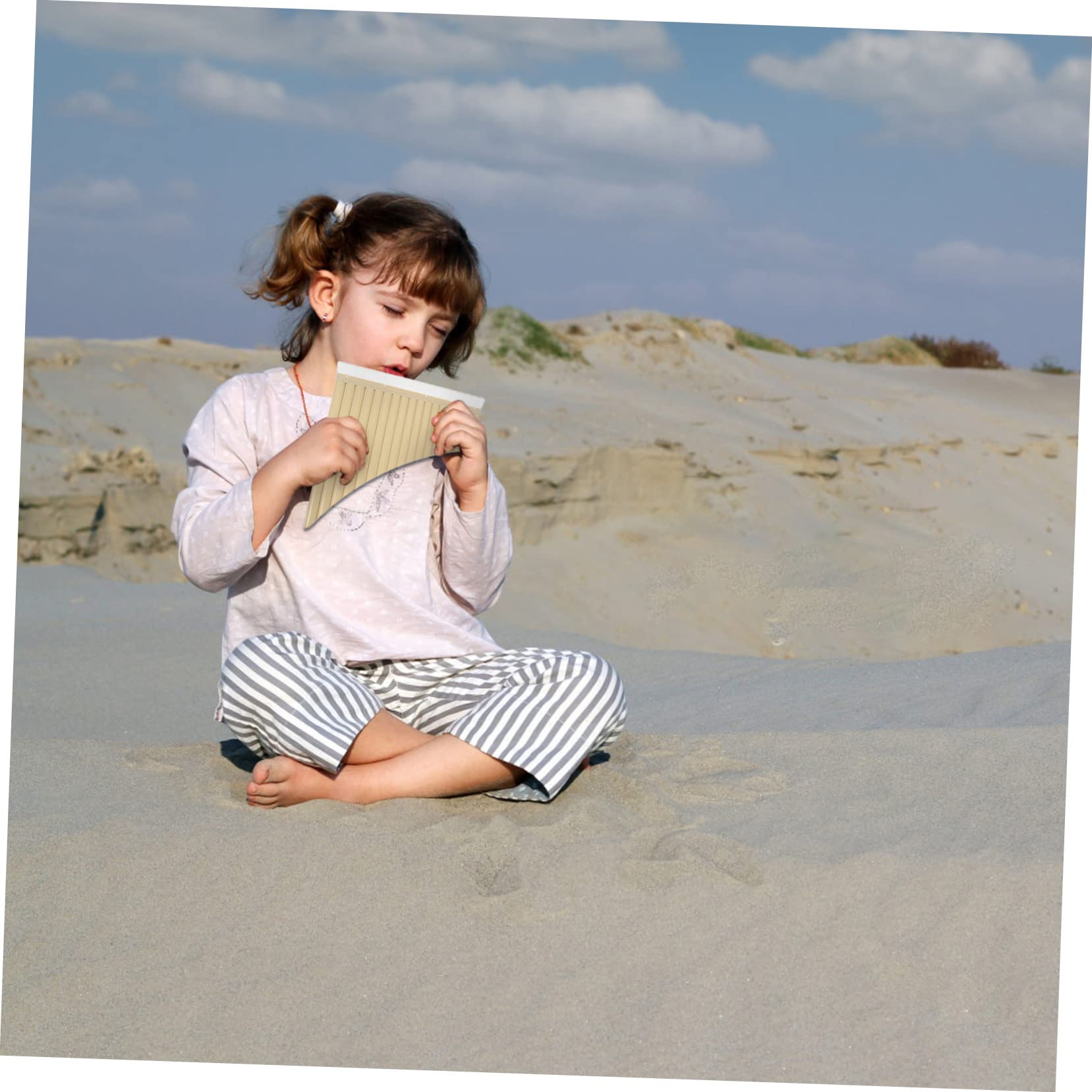 BESTonZON 1Set Professional Pan Flute Instrument C Key Tube Design for Easy Learning Durable School Musical Instrument for Beginners Performers Present for Music Enthusiasts