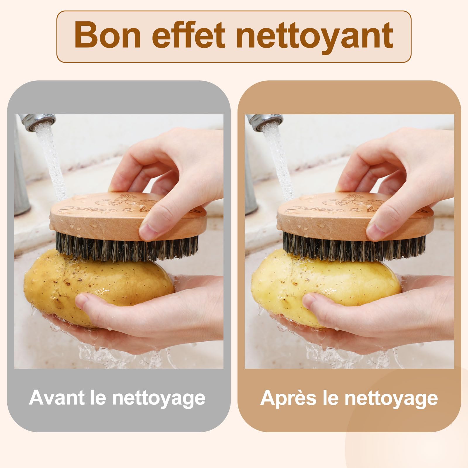 AUGSUN Brosse à Légumes, Brosses à Récurer pour Plats Fruits et Légumes, Brosse de Nettoyage pour Cuisine Jardin et Ménage