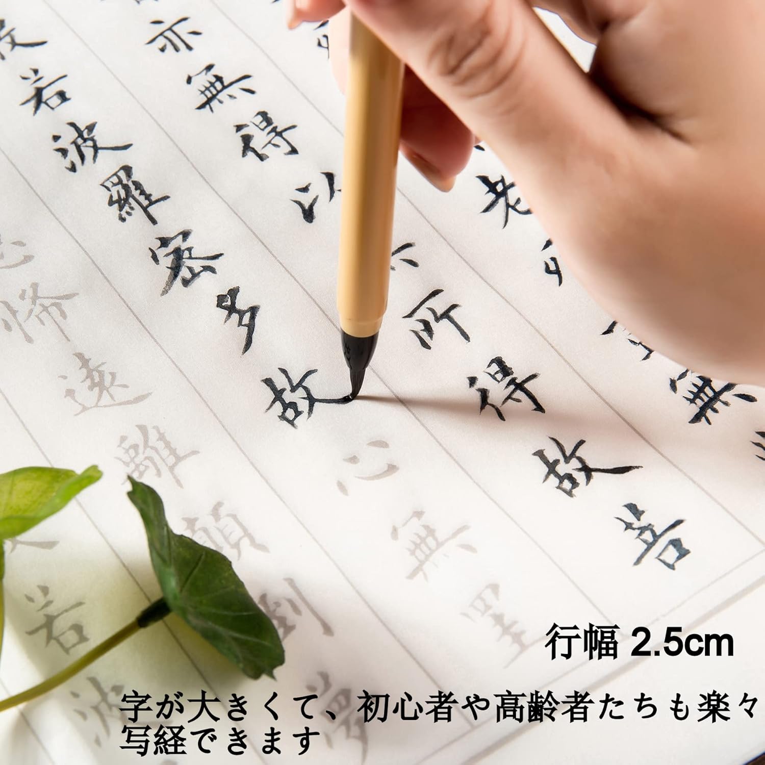 Amazon 般若心経 写経用紙セット ６０枚入り写経紙 筆ペン なぞり書き 練習用 手本付き 大きいサイズ６７cm ３５cm 行幅ー ５cm 写経用紙 ホビー