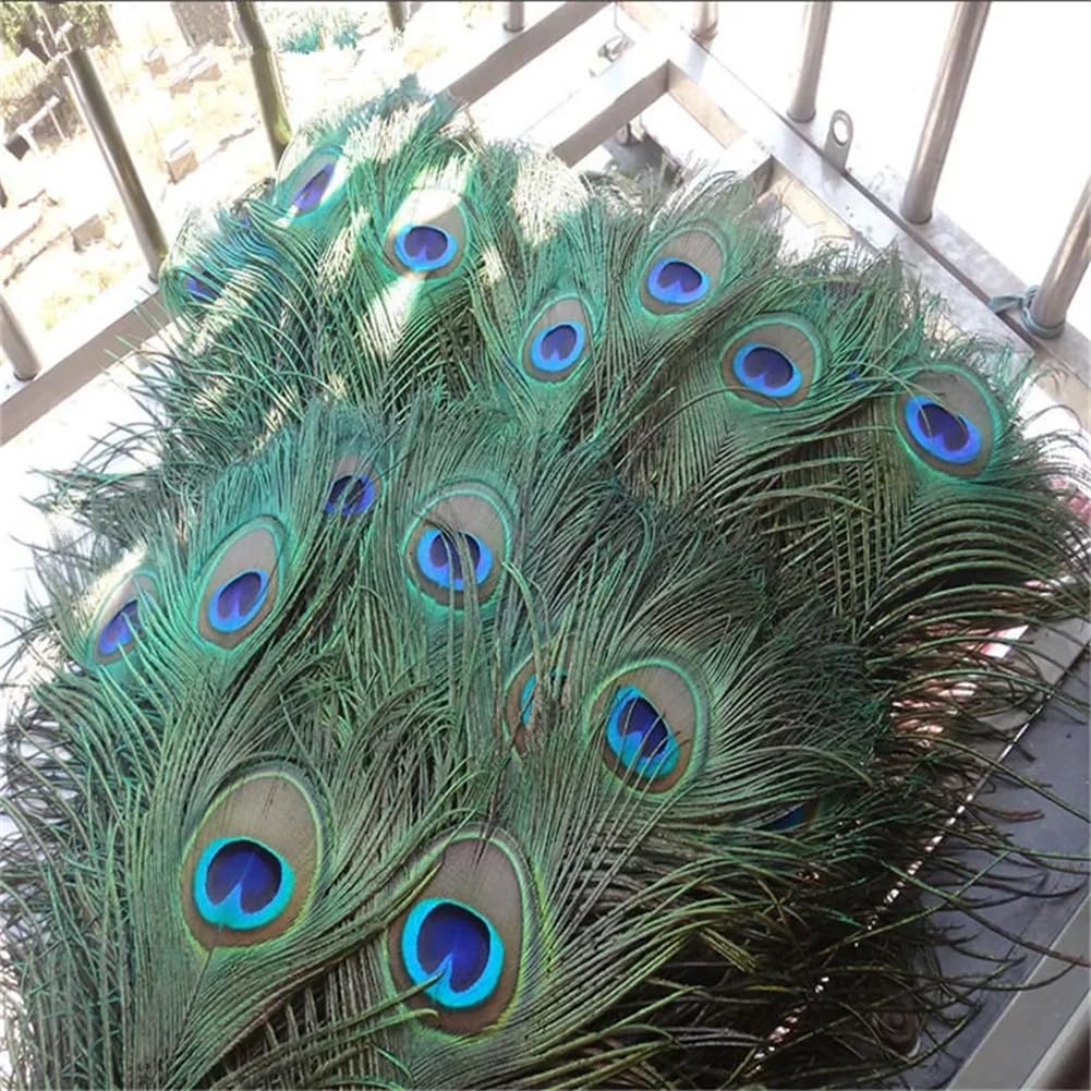 Naturalne pióra bażanta, Craft Pawie pióra wielokolorowe 25-30 cm, opakowanie 20 sztuk(Peacock Eyes)