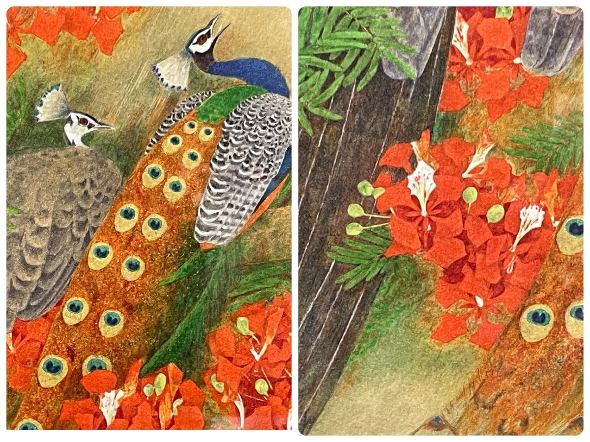 Amazon.co.jp: 上村松篁「燦雨」リトグラフ 43180 証書 タトウ箱