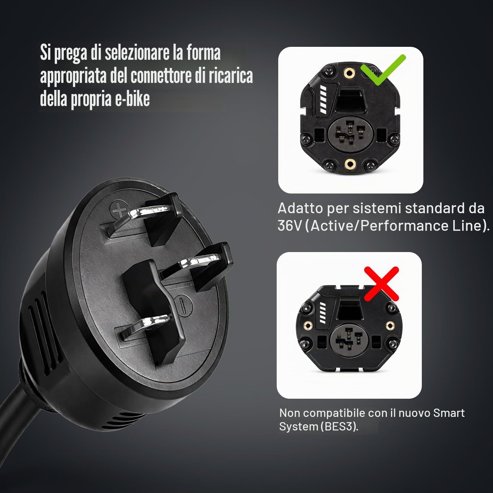 LEICKE Caricatore rapido e-bike 36 V/42 V 6 A – Caricatore DC con spina ovale – compatibile con Bosch Active/Performance Line