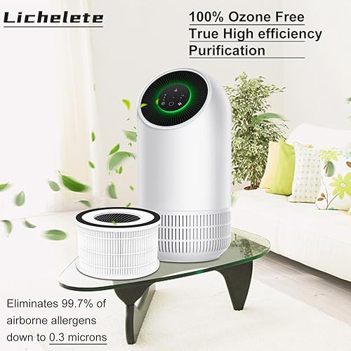 Miniatura 5 de Paquete de 2 filtros de repuesto compatibles con Afloia FilloHaloMooka Allo, filtro verdadero 3 en 1 de alta eficiencia para filtro Fillo, para