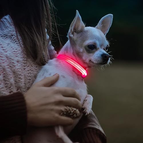 Miniatura 6 de Visinite Collares de perro iluminados para perros pequeños, collar de perro LED recargable con luz, collar de perro iluminado totalmente ajustable,