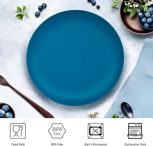 Miniatura 2 de TP Platos llanos de melamina de 10 pulgadas, juego de 6 platos irrompibles para servir en interiores y exteriores, servicio de cena irrompible para