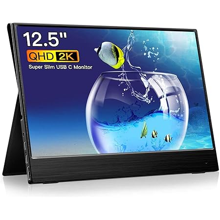 Amazon Eyoyo ポータブルモニター Usb C 12 5インチモニター Ips Lcdモニター 2k 2560x1440 モバイルモニター サーブモニター Pc スマホ Xbox Switch Ps4など対応 Eyoyo ディスプレイ 通販