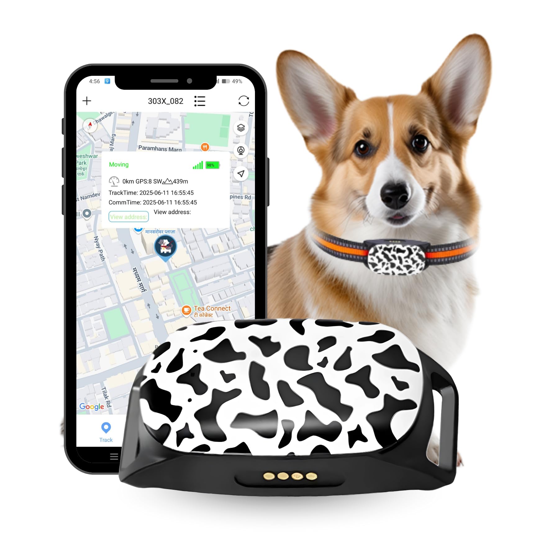 FETACA® 4G G61 Waterproof Pet GPS Tracker Collar for Dogs & Cats Real-Time Live Tracking, Geo-Fence, Low Battery Alerts, Durable IPX7 Dog Tracker (Device with Free 5G Sim Card)-image-29
