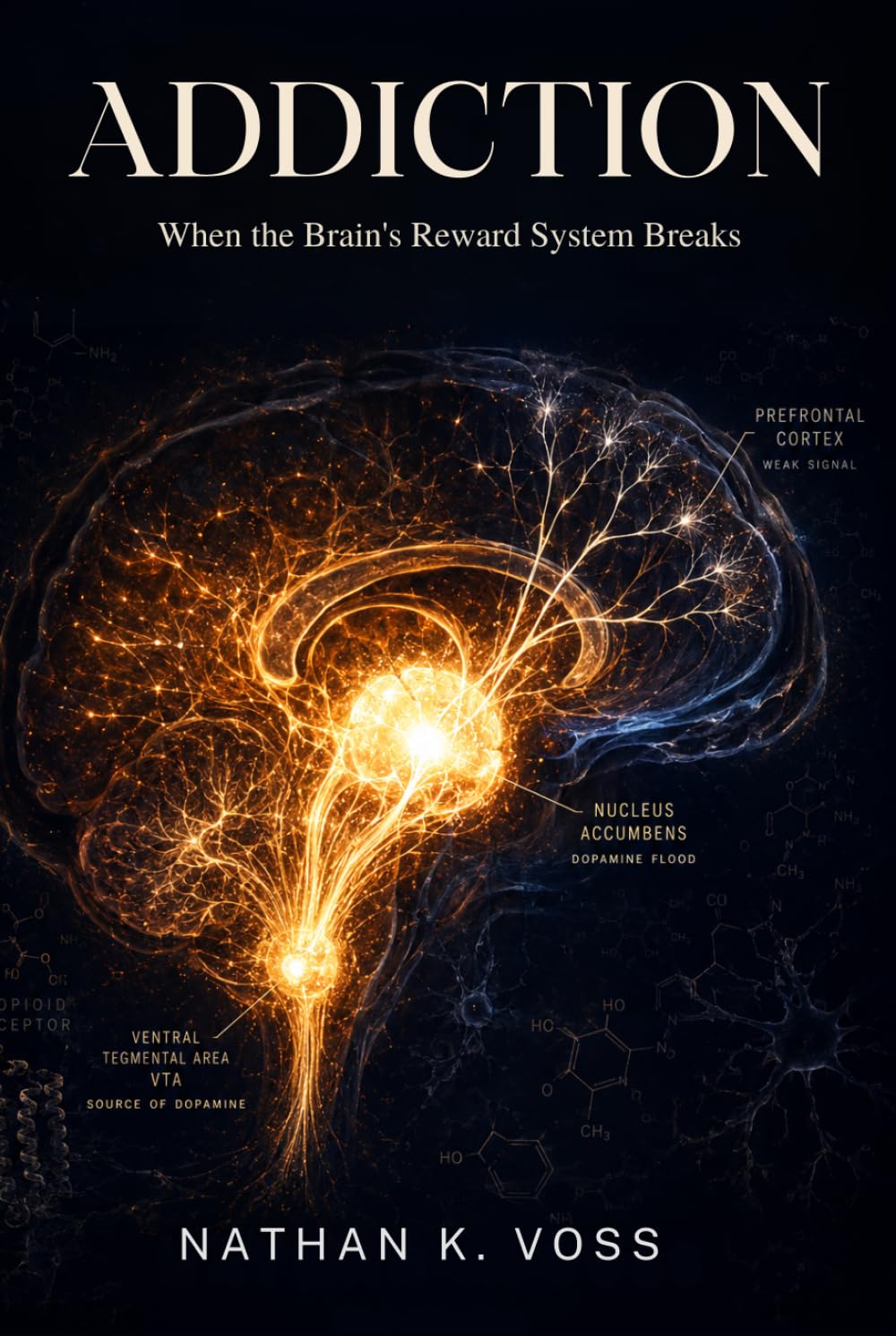 Addiction: When the Brain's Reward System Breaks (The Neuroscience Series)