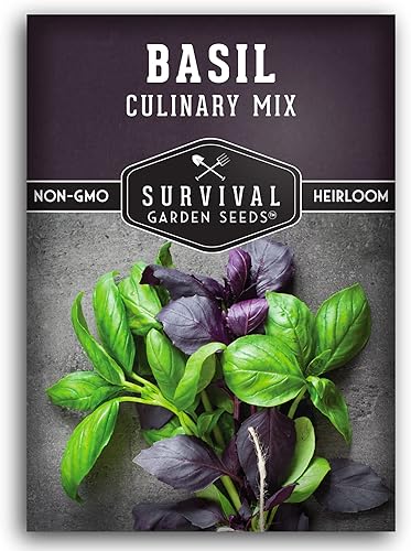 Miniatura 7 de Survival Garden Seeds - Mezcla culinaria de albahaca - 3 paquetes con instrucciones para plantar y cultivar hierbas genovesas, limón, lima, ópalo y