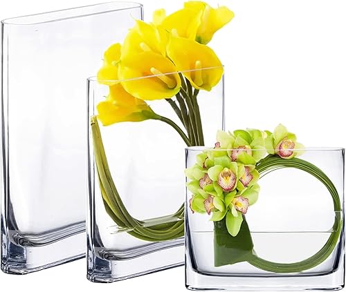 CYS EXCEL 3 jarrones de vidrio para libros (altura-6", 8", 10") | Jarrón ovalado de bloque de flores de borde redondo | Jarrón rectangular moderno