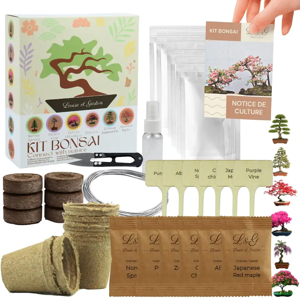 Bonsaikit för odling med frön och tillbehör