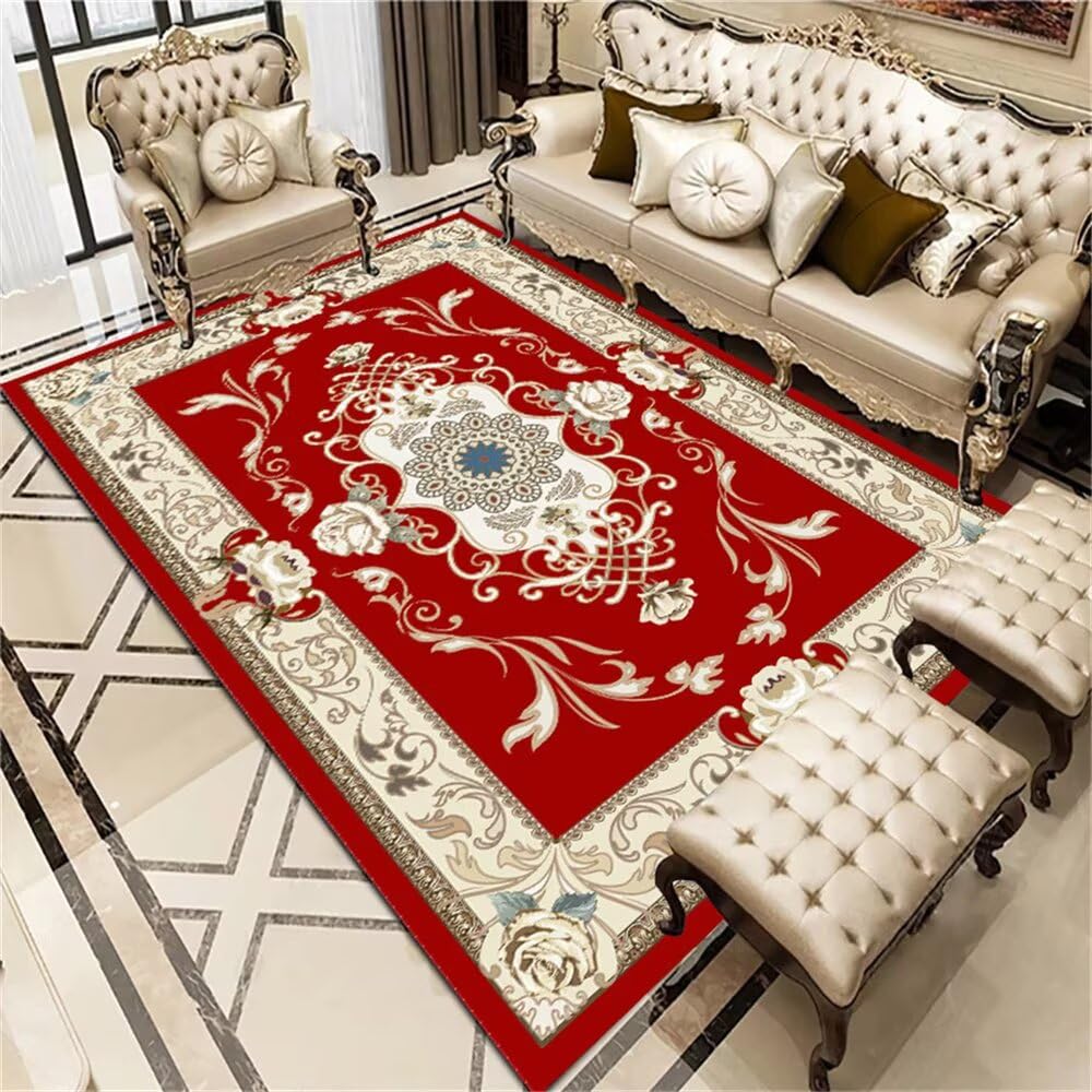 Tapis de porte salon rouge rectangulaire 170x240CM protection sol entrée extérieur