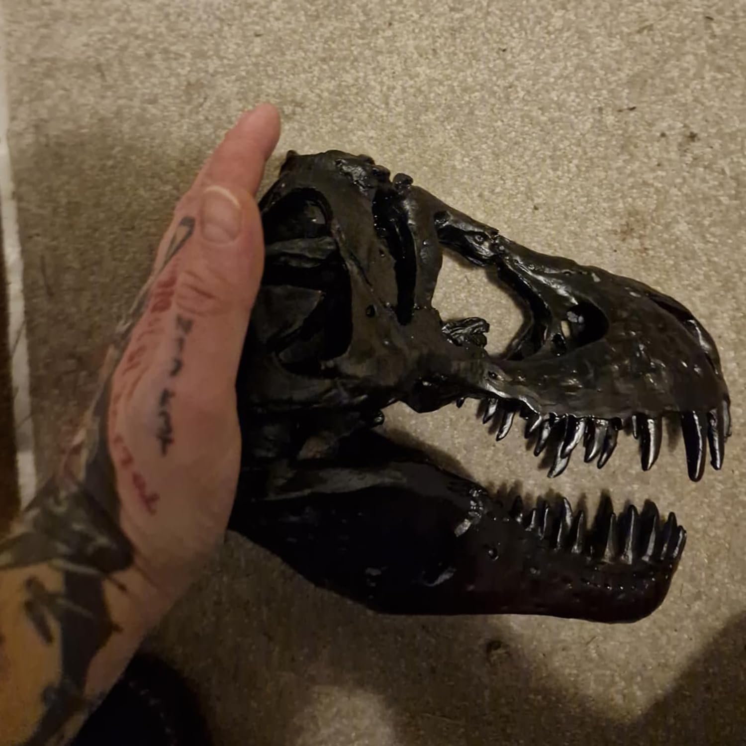 Statue de crâne de Sculptures de Dinosaures avec Support Réplique de crâne de tyrannosaure Décoration Réplique de crâne et d'os en résine avec Support pour la Maison, Le Bureau.