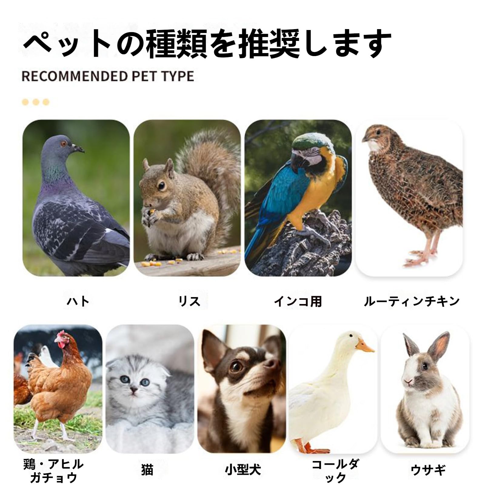 Amazon | Wyfcal モルモット チンチラ 小動物ペットケージ 大型 うさぎ