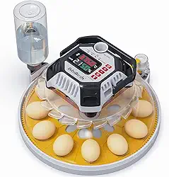 Incubadoras para incubação de ovos com umidade automática - MS12, incubadora de ovos com giro automático de ovos e controle digital de umidade para chocar frango, codorna, pato