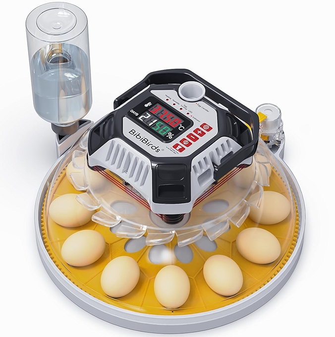 BibiBirds蛋孵化器 - 自动湿度、自动翻蛋，适用于鸡、鹌鹑、鸭蛋孵化
