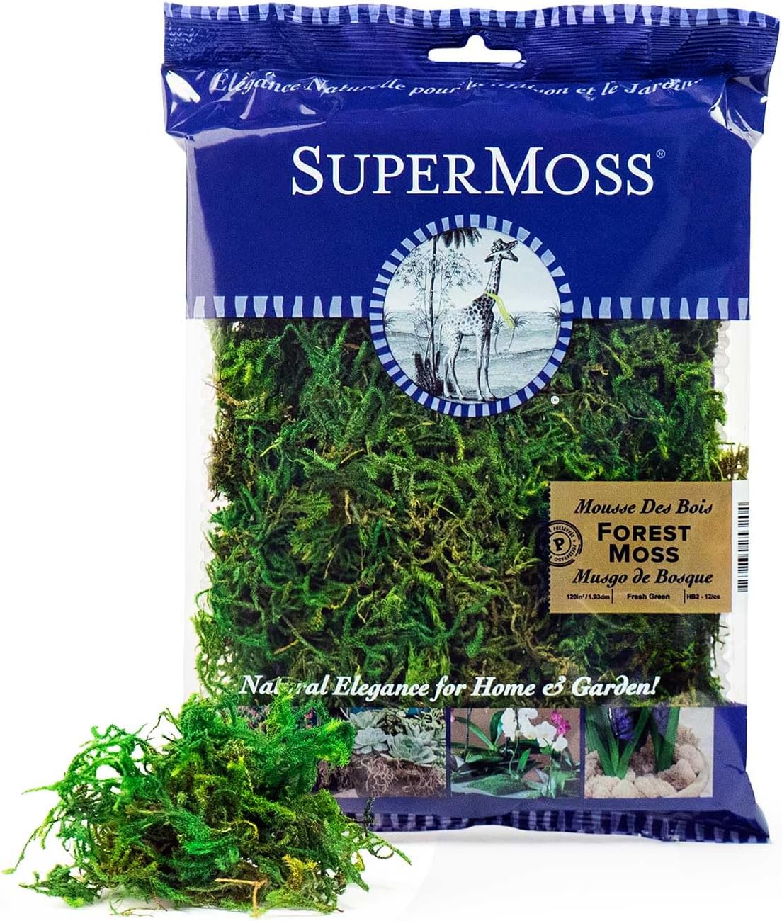SuperMoss (25323) Forest Moss Preserved - Long-Lasting Natural Moss for Indoor/Outdoor Plants, Crafting, and Home Décor, 534 cu in, Green