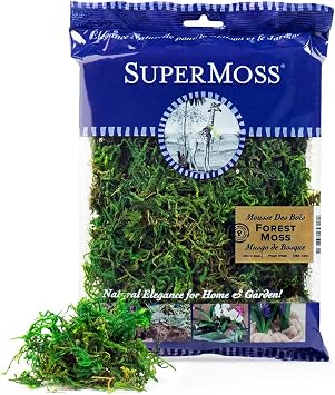 SuperMoss (25320) Forest Moss Preserved, Fresh Green, 2oz