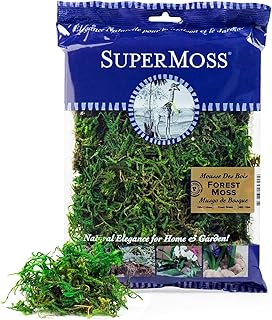 SuperMoss (25320) Forest Moss Preserved, Fresh Green, 2oz