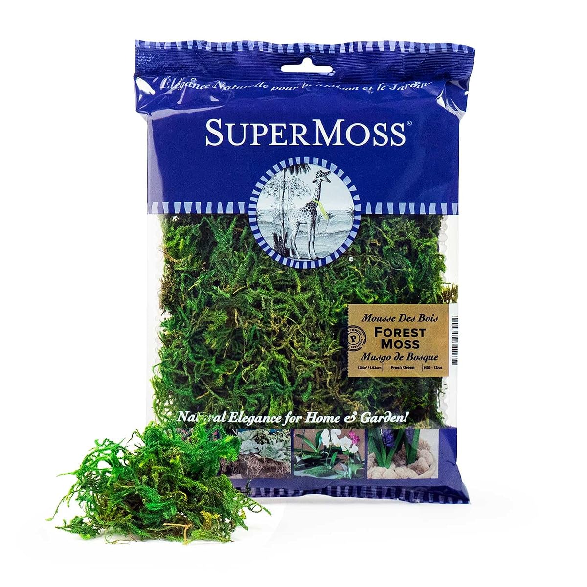 Supermoss Super Moss (25320) Forest Preserved Moss 2 oz