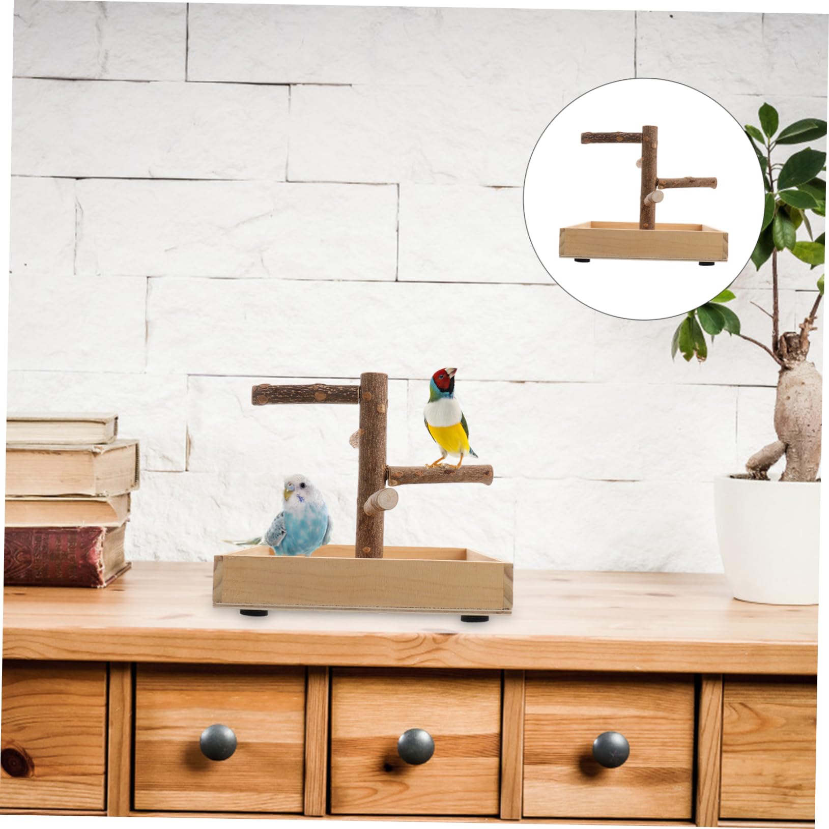 Percha de Madera para Loros, Juguete de Escalada y Soporte | Beige, para Periquito y Agapornis, Portátil, Ayuda al Ejercicio Equilibrio